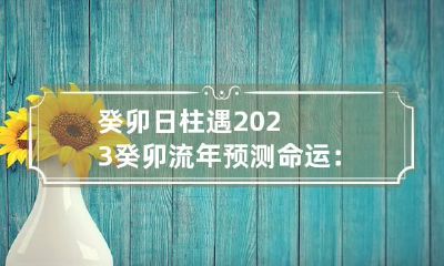 癸卯日柱遇2023癸卯流年预测命运:有贵人相助则事业运爆棚