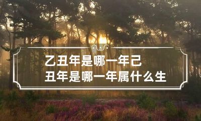 乙丑年是哪一年 己丑年是哪一年属什么生肖