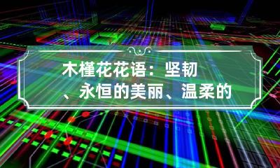 木槿花花语:坚韧、永恒的美丽、温柔的坚持