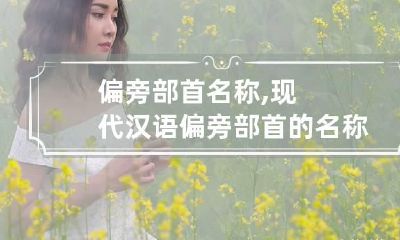 偏旁部首名称,现代汉语偏旁部首的名称大全