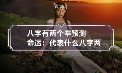 八字有两个辛预测命运:代表什么 八字两辛两壬