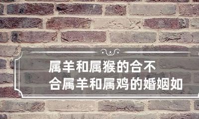 属羊和属猴的合不合 属羊和属鸡的婚姻如何