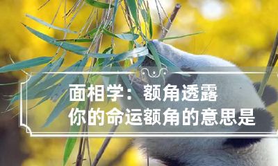 面相学:额角透露你的命运 额角的意思是什么意思