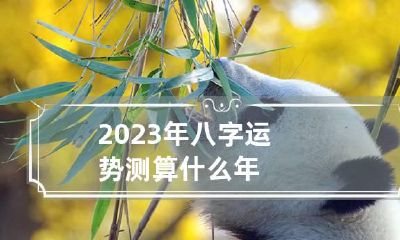 2023年八字运势测算什么年