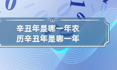 辛丑年是哪一年 农历辛丑年是哪一年