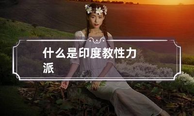 什么是印度教性力派