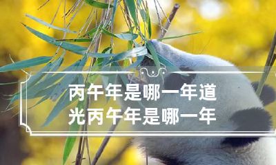 丙午年是哪一年 道光丙午年是哪一年