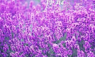 狗年好听双胞胎名字
