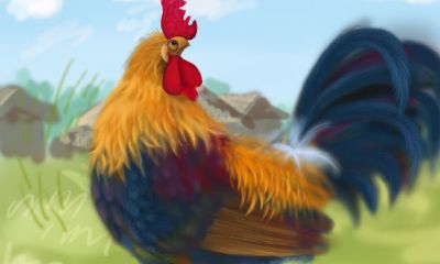 梦见一篮子鸡和鸟