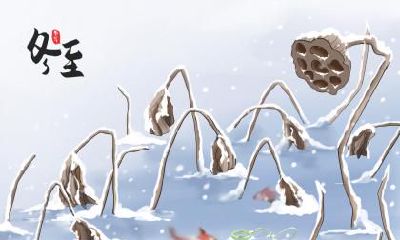 关于冬至数九,是冬至后开始数九吗?