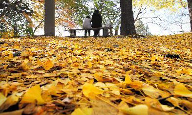 金牛座深秋暖心正能量是什么?