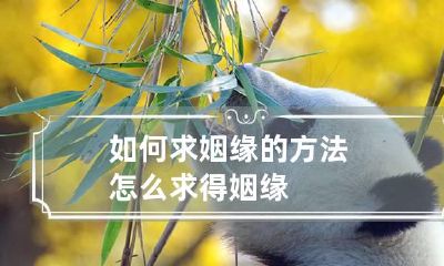 如何求姻缘的方法 怎么求得姻缘