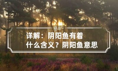 详解:阴阳鱼有着什么含义? 阴阳鱼意思
