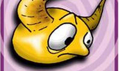 牛腩对同类们感情的经验之谈