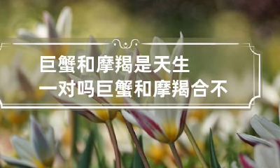 巨蟹和摩羯是天生一对吗 巨蟹和摩羯合不合适