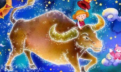 2.金牛座今日运势(每天更新)