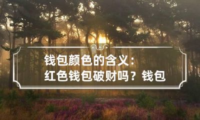 钱包颜色的含义:红色钱包破财吗? 钱包红色是会破财吗