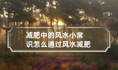 减肥中的风水小常识 怎么通过风水减肥
