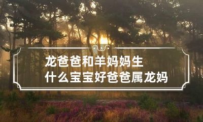 龙爸爸和羊妈妈生什么宝宝好 爸爸属龙妈妈属羊孩子属牛好吗