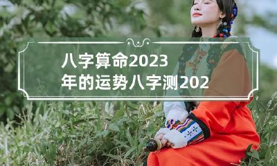 八字算命2023年的运势 八字测2023年运势