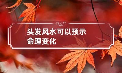 头发风水可以预示命理变化
