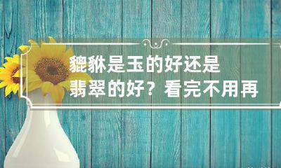 貔貅是玉的好还是翡翠的好?看完不用再纠结!