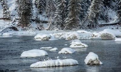 2020年大寒冷不冷,大寒冷还是小寒冷大寒出九了吗?