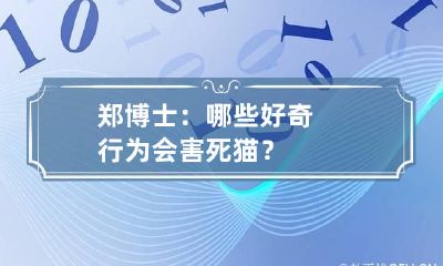 郑博士:哪些好奇行为会害死猫?