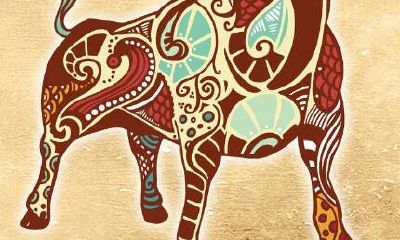 金牛 - 最拜金的星座