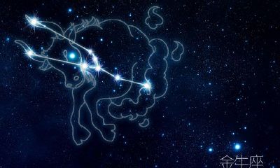 金牛座男人的特点:金牛座男人性格,金牛座男人的爱情