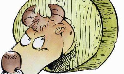 属龙的金牛座和什么生肖星座最配?