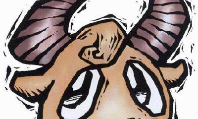 属蛇的金牛座和什么生肖星座最配?