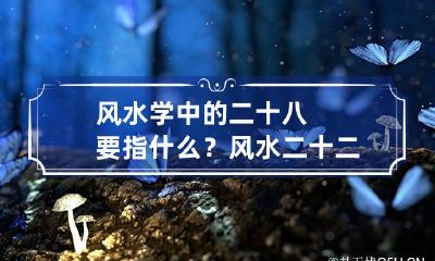 风水学中的二十八要指什么? 风水二十二好