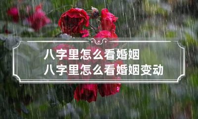 八字里怎么看婚姻 八字里怎么看婚姻变动情况