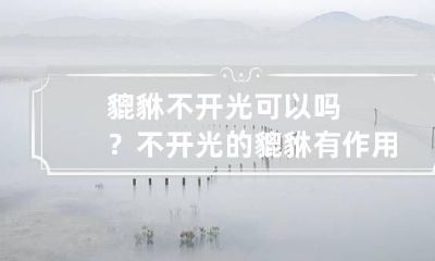 貔貅不开光可以吗?不开光的貔貅有作用吗?