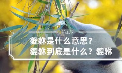 貔貅是什么意思?貔貅到底是什么? 貔貅是什么东西?