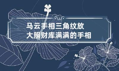 马云手相三角纹放大照 财库满满的手相