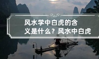 风水学中白虎的含义是什么? 风水中白虎抬头是什么意思
