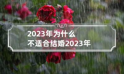 2023年为什么不适合结婚 2023年结婚最好的属相