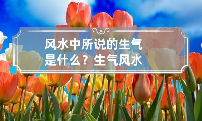 风水中所说的生气是什么? 生气 风水