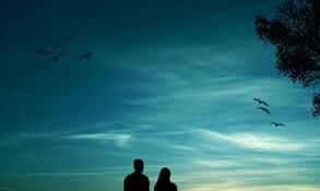 秘籍!疼爱金牛座的妙法