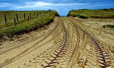 2019年农历十一月出生五行属什么,五行缺什么?