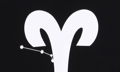 金牛座求职指南