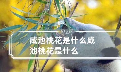 咸池桃花是什么 咸池桃花是什么?