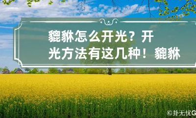 貔貅怎么开光?开光方法有这几种! 貔貅 怎么开光