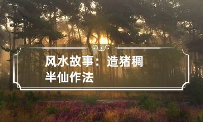 风水故事:造猪稠半仙作法