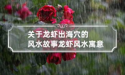 关于龙虾出海穴的风水故事 龙虾风水寓意