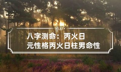 八字测命:丙火日元性格 丙火日柱男命性格
