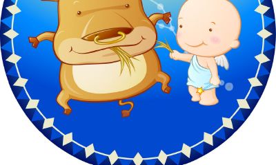 金牛座适合的行业