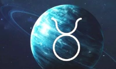 金牛男和金牛女配对